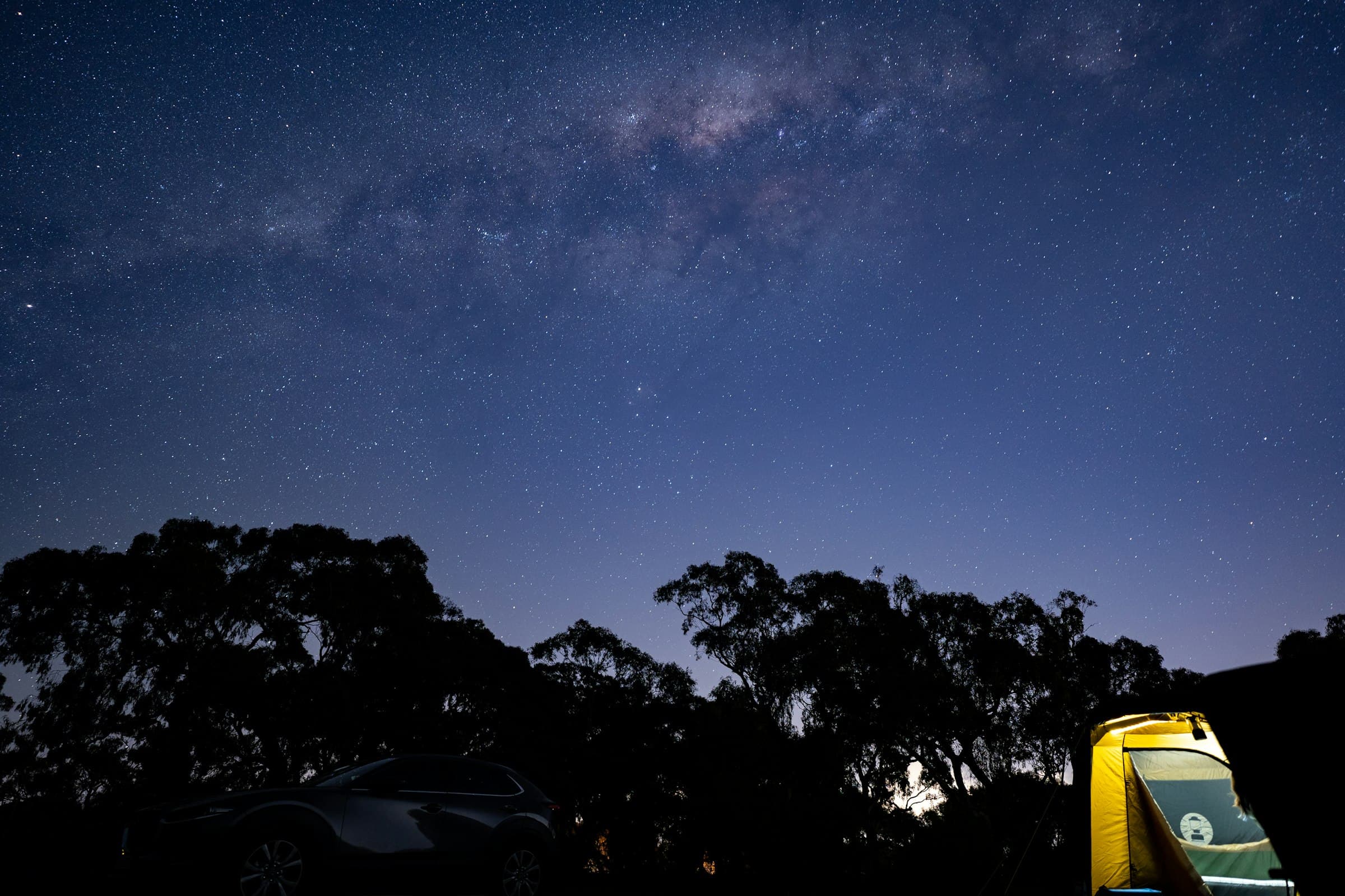 The Milky Way over gum trees, with a four-wheel drive and camper set up for the night.